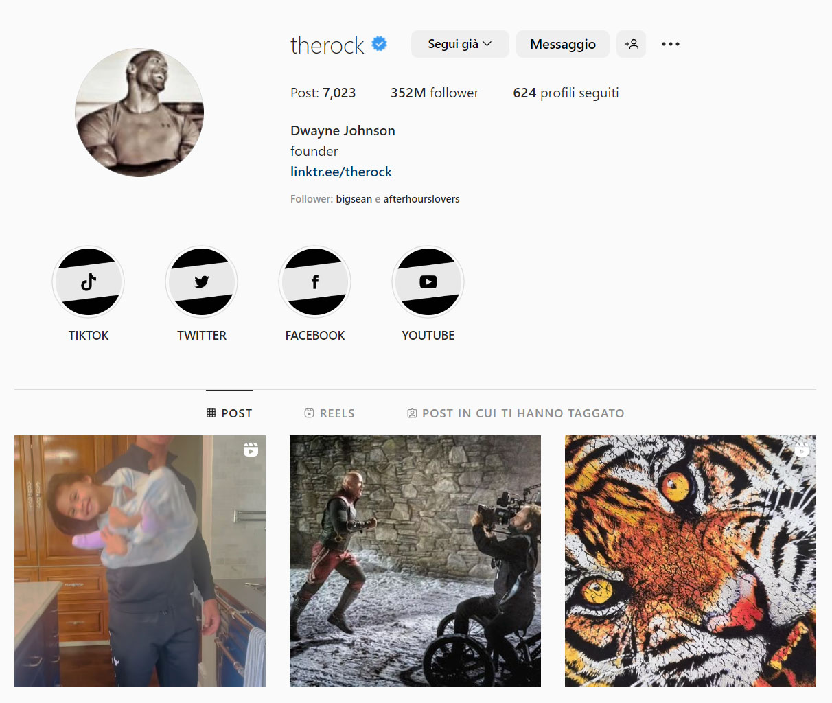 Instagram: Profilo ufficiale The Rock